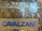 Image for product CAVALZANI VINIFICATORE ACCIAIO INOX HL 100
